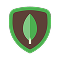 API Integration